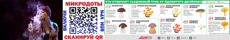 Купить закладки  Гаджиево  Псилоцибиновые грибы прущие грибы 
